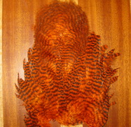 American hen soft hackle w/chickabou  grizzly / orange  Whiting